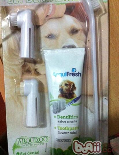 圖2  專門為狗狗設計的牙膏和牙刷