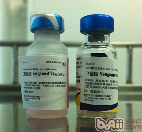 疫苗分為水劑和粉劑兩瓶組成一個聯合疫苗，這是輝瑞公司衛佳系列疫苗。
