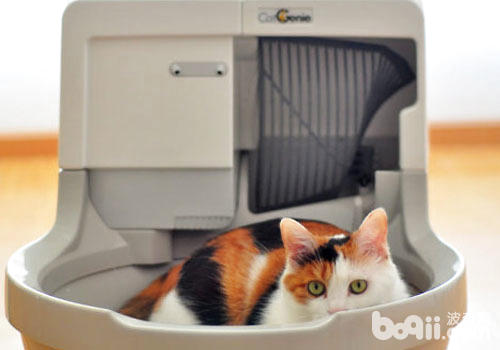 CatGenie貓潔易可沖洗全自動貓廁所