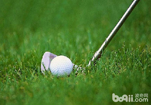 高爾夫球也是鉛制品