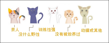 圖1：適合被圈養貓咪的幾大特性