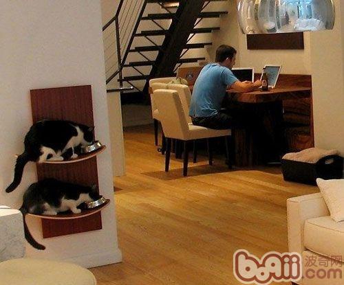 貓家具