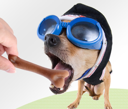 自制狗狗磨牙棒  首先要選擇磨牙棒的材質
