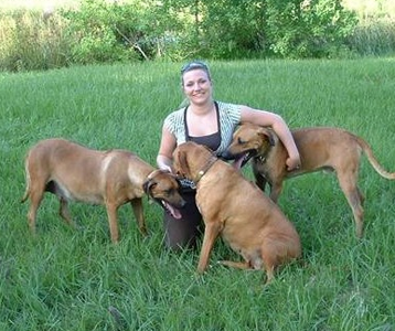 羅得西亞脊背犬怎麼喂養 自制狗糧方法
