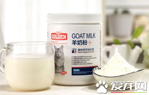 貓吃什麼奶粉 選擇貓牛奶方法及喂養方法
