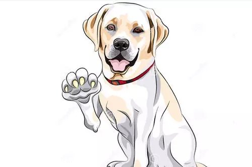 狗狗經常磨爪子是怎麼回事？
