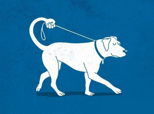 【狗狗訓練二十四】訓練狗狗“散步”的三大步驟