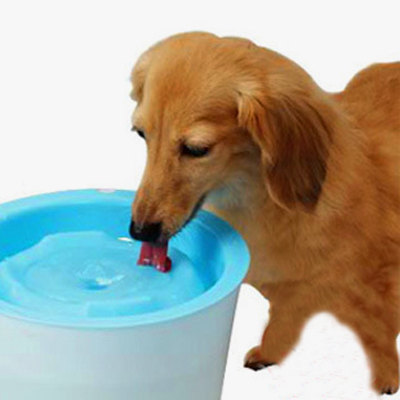 狗狗每天要喝多少水