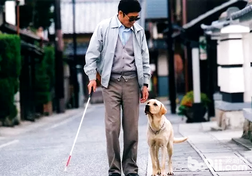 導盲犬