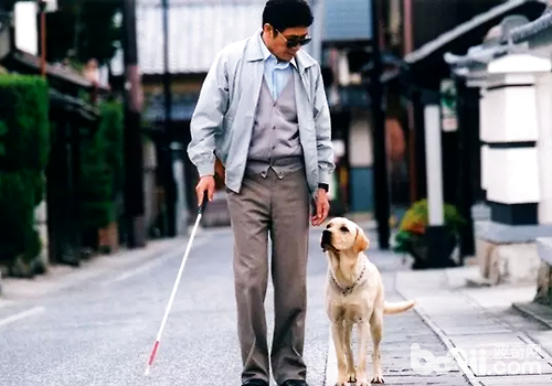 導盲犬