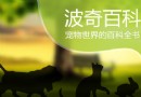 教你如何挑選貴賓犬