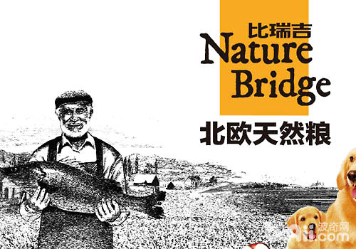 比瑞吉