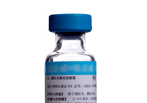 接種疫苗的流程不要出錯