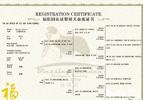 血統證書