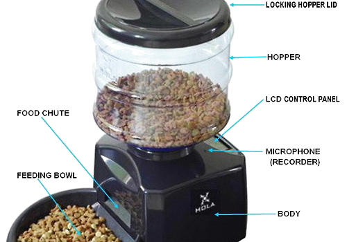 如果沒有時間可以准備定時定量的喂食器