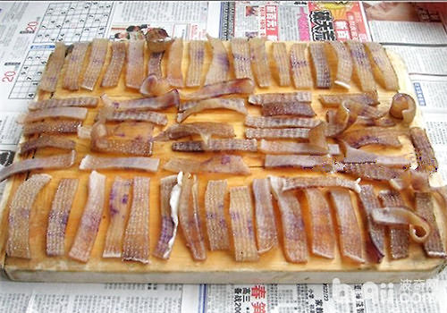 自制狗咬膠