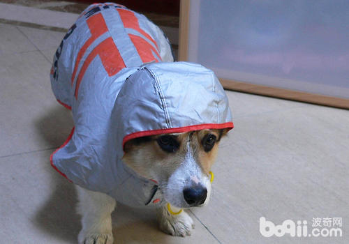 一定要做好防雨措施