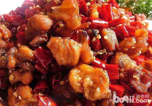不要給狗狗喂食刺激性食物