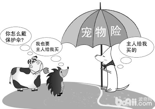 國外的寵物保險就要好很多，所以我們還有很長一段路要走