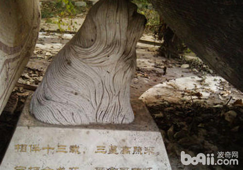 可以用特有的方式紀念狗狗