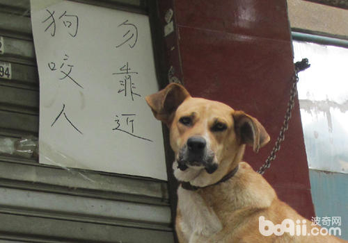 做好提醒工作