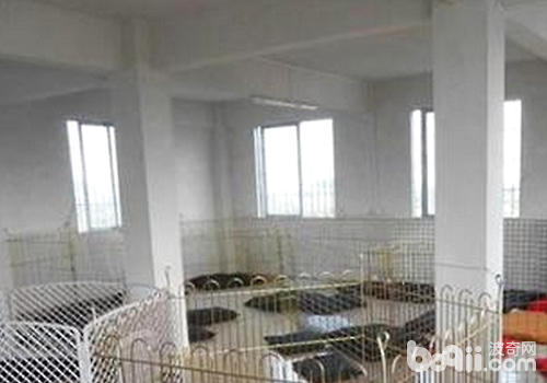 狗狗寄養地環境衛生很重要