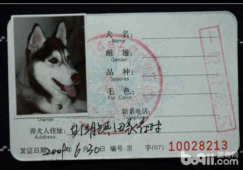狗證對於狗狗來說很重要