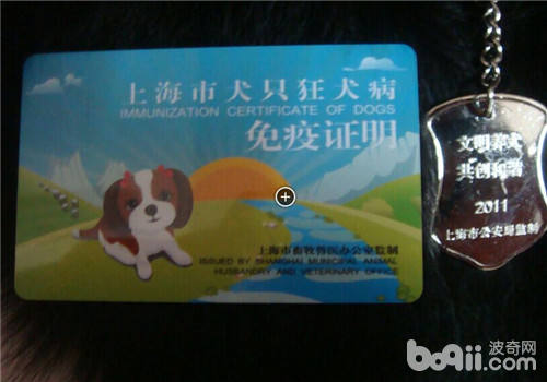 犬證
