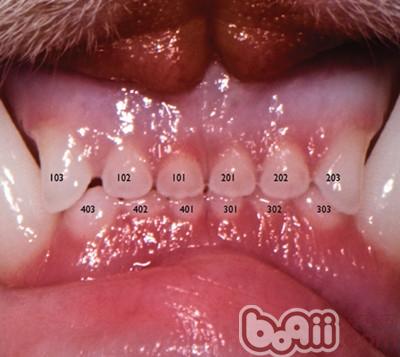 15$@MDVMN2%$6_GWSMZ6MIU.jpg