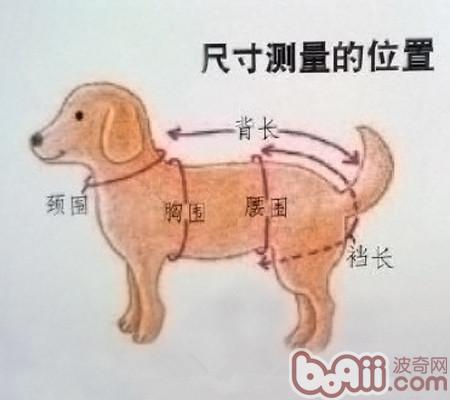 量尺寸