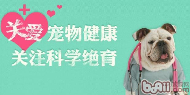 關愛寵物健康，關注科學絕育 