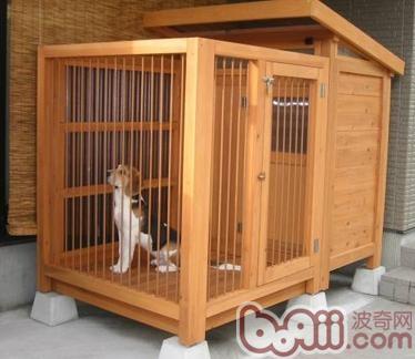狗窩