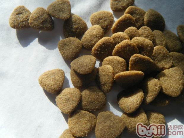 犬糧