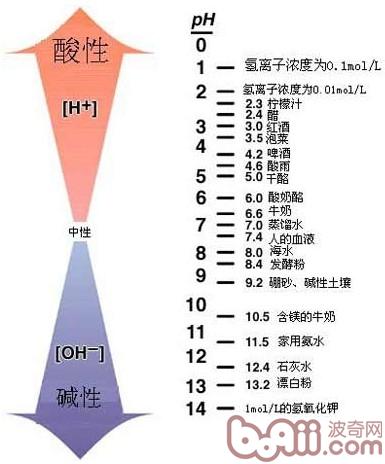 一些常見物質的pH值