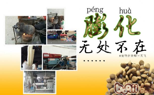 膨化無處不在