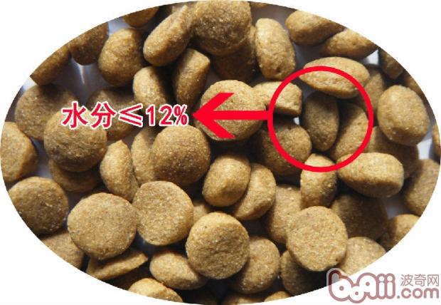 干糧