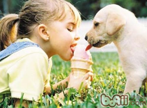 挑食的寵物主人，你的喂食行為是否科學合理？