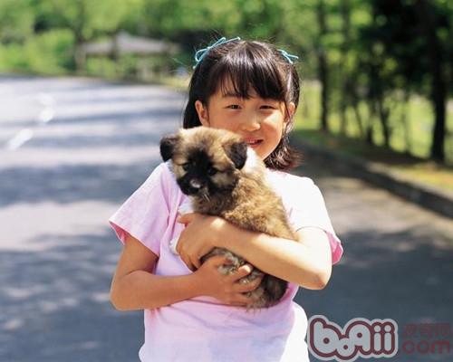 不正確的抱狗姿勢容易引起狗狗的潛在疾病
