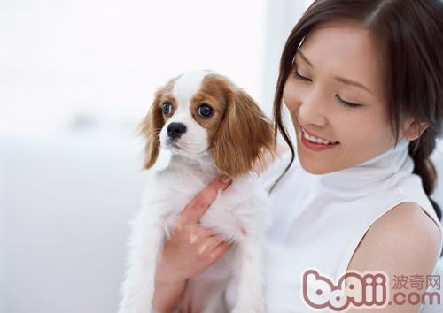 正確的抱狗姿勢是很重要的
