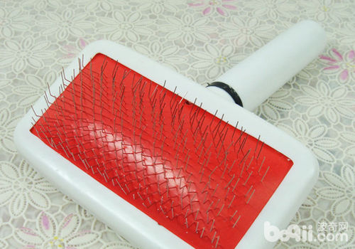 狗狗用梳