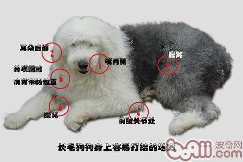 古牧