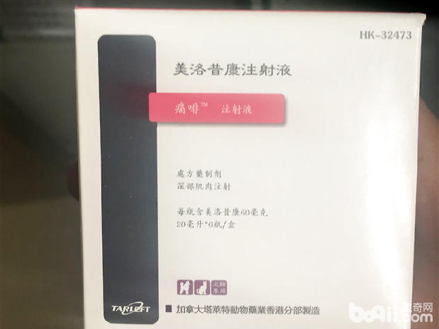 圖5 保守治療時選用止痛藥