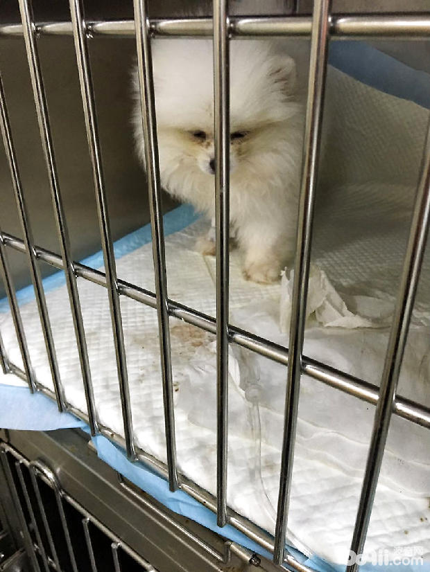 圖5 患眼不要進行遮蓋