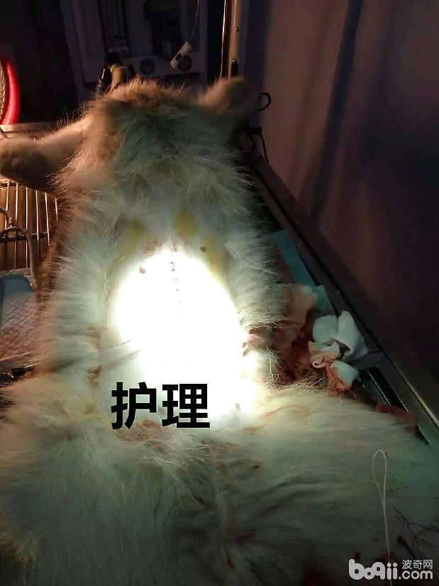 術後護理