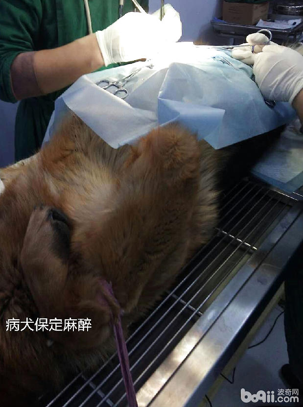 手術治療