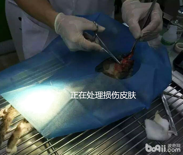 處理損傷的皮膚