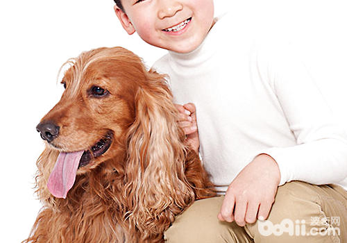 飼主與狗狗相處的時間最好不要太長