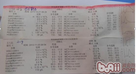 FT9AWS8WBO{5Z77Z]~N`~YY.jpg