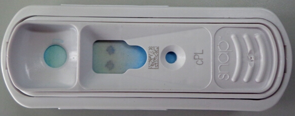 胰腺炎試紙檢測（陽性）