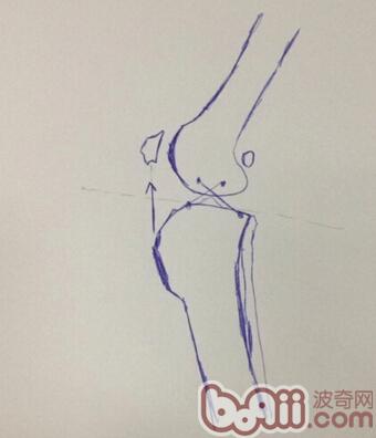 犬後腳跛行，前十字韌帶斷裂的治療FAQ